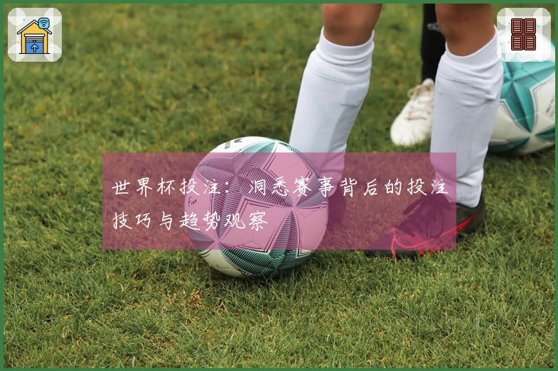世界杯投注：洞悉赛事背后的投注技巧与趋势观察