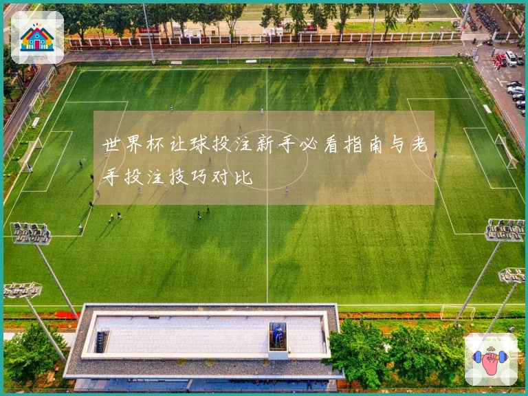 世界杯让球投注新手必看指南与老手投注技巧对比