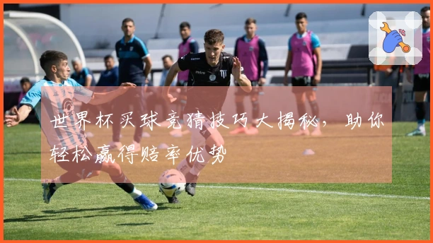 世界杯买球竞猜技巧大揭秘，助你轻松赢得赔率优势