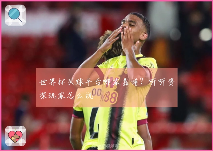 世界杯买球平台哪家靠谱？听听资深玩家怎么说