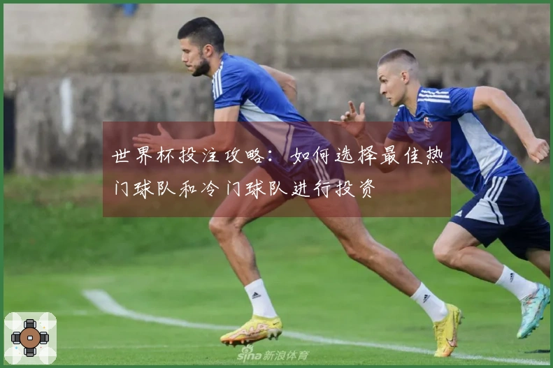世界杯投注攻略：如何选择最佳热门球队和冷门球队进行投资
