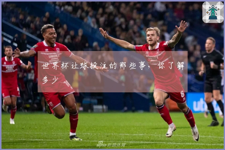 世界杯让球投注的那些事，你了解多少
