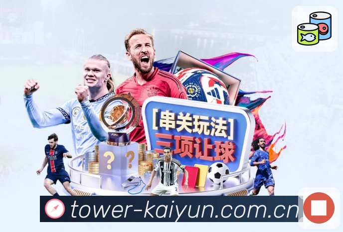 开云APP 高清赛事图